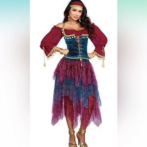 Dreamgirl Adult Fortune Teller Costume